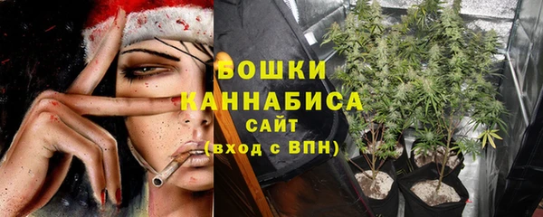 дурь Краснотурьинск
